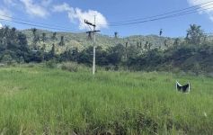 696 Sqm of Garden View Land, Lamai